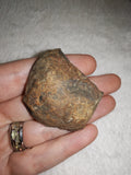 Natural Septarian Half Nodule #2 | Dragon Egg | Polished Calcite Display Stone | 37g