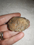 Natural Septarian Half Nodule #2 | Dragon Egg | Polished Calcite Display Stone | 37g