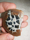 Natural Septarian Half Nodule #2 | Dragon Egg | Polished Calcite Display Stone | 37g