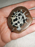 Natural Septarian Dragon Egg Half Nodule #3 | Polished Face with Calcite & Pyrite | 48g