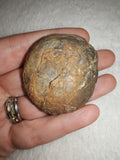Natural Septarian Dragon Egg Half Nodule #3 | Polished Face with Calcite & Pyrite | 48g