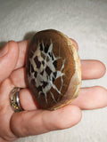 Natural Septarian Dragon Egg Half Nodule #3 | Polished Face with Calcite & Pyrite | 48g