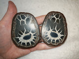 Natural Septarian Dragon Egg PAIR #1 | Complete Matching Pair | Polished Interior | 250g