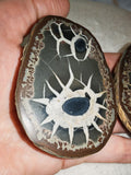 Natural Septarian Dragon Egg PAIR #1 | Complete Matching Pair | Polished Interior | 250g
