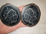 Natural Septarian Dragon Egg PAIR #2 | Complete Matching Pair | Polished Calcite Interior | 250g