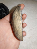 Natural Septarian Dragon Egg PAIR #2 | Complete Matching Pair | Polished Calcite Interior | 250g