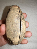Natural Septarian Dragon Egg PAIR #4 | Complete Matching Pair | Polished Calcite Interior | 250g