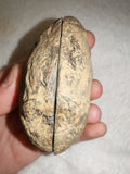 Natural Septarian Dragon Egg PAIR #4 | Complete Matching Pair | Polished Calcite Interior | 250g