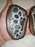 Natural Septarian Dragon Egg PAIR #5 | Complete Matching Pair | Polished Calcite Interior | 250g