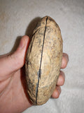 Natural Septarian Dragon Egg PAIR #5 | Complete Matching Pair | Polished Calcite Interior | 250g