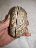 Natural Septarian Dragon Egg PAIR #6 | Complete Matching Pair | Polished Calcite Interior | 250g