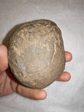 Natural Septarian Dragon Egg PAIR #6 | Complete Matching Pair | Polished Calcite Interior | 250g