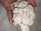 Large Botryoidal Chocolate Calcite Mineral Specimen from Pakistan | Natural Crystal Cluster | 657g