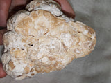 Large Botryoidal Chocolate Calcite Mineral Specimen from Pakistan | Natural Crystal Cluster | 657g
