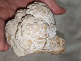 Large Botryoidal Chocolate Calcite Mineral Specimen from Pakistan | Natural Crystal Cluster | 657g