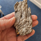 Carboniferous Pipe Coral (Syringopora sp.) Fossil | Colonial Tabulate Coral | North Wales | 65g