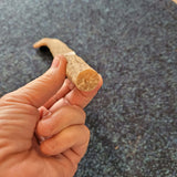Fallen Limestone Cave Stalactite Pair | Calcite Speleothem | Minera North Wales | 359g