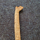 Fallen Limestone Cave Stalactite Pair | Calcite Speleothem | Minera North Wales | 359g