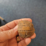 Natural Micraster (Heart Urchin) Fossil | Cretaceous Echinoid | France | 38g