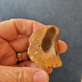 Natural Micraster (Heart Urchin) Fossil | Cretaceous Echinoid | France | 38g