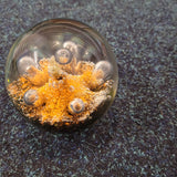 Vintage Caithness Sea Dance Art Glass Paperweight by Colin Terris 600g Scottish Studio Glass