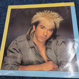 Limahl Too Much Trouble Lovers Heartbeat Mix UK 12 Inch Vinyl 12LML 2