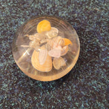 Vintage Resin Seashell Paperweight Coastal Beach Shell Display Ornament 140g