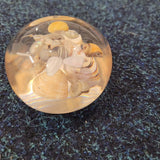 Vintage Resin Seashell Paperweight Coastal Beach Shell Display Ornament 140g