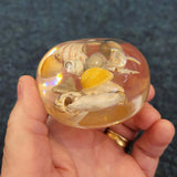 Vintage Resin Seashell Paperweight Coastal Beach Shell Display Ornament 140g