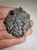 UV Reactive Yooperlite Spider Web Carving 20g Gemstone Crystal