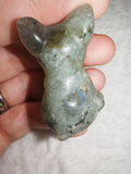 Natural Labradorite French BullDog Carving 27g Blue Gold Flash Crystal Puppy