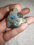 Natural Labradorite French BullDog Carving 27g Blue Gold Flash Crystal Puppy