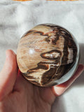 Petrified Wood Sphere Polished Brown & Cream Fossil Wood 750g