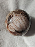 Petrified Wood Sphere Polished Brown & Cream Fossil Wood 750g