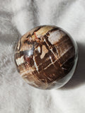 Petrified Wood Sphere Polished Brown & Cream Fossil Wood 750g