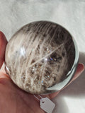 Black Moonstone Sphere Polished Grey Brown & Cream 592g