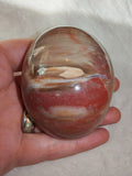Petrified Wood Palm Stone Polished Red & Brown Fossil Wood 186g
