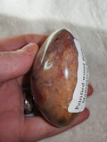 Petrified Wood Palm Stone Polished Red & Brown Fossil Wood 186g
