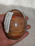 Petrified Wood Palm Stone Polished Red & Brown Fossil Wood 186g