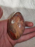 Petrified Wood Palm Stone Polished Red & Brown Fossil Wood 186g