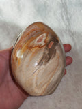 Petrified Wood Freeform Polished Fossil Wood Display Stone 387g