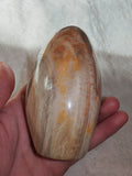 Petrified Wood Freeform Polished Fossil Wood Display Stone 387g