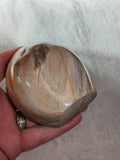 Petrified Wood Freeform Polished Fossil Wood Display Stone 387g