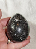 Possible Orthoceras Fossil Egg Polished Black Limestone Display Stone 250g