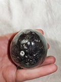 Possible Orthoceras Fossil Egg Polished Black Limestone Display Stone 250g