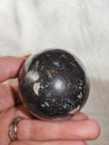 Possible Orthoceras Fossil Egg Polished Black Limestone Display Stone 250g