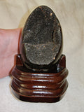 Possible Septarian Dragon Egg with Wooden Stand – 405g