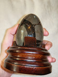 Possible Septarian Dragon Egg with Wooden Stand – 405g