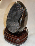 Possible Septarian Dragon Egg with Wooden Stand – 405g