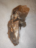 Large Honey Calcite Crystal Cluster 660g Raw Golden Calcite Specimen